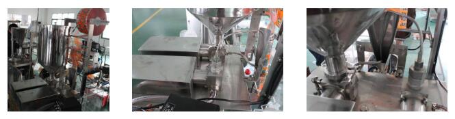 Automatic Two Lanes Gel Sachet Packing Machine02