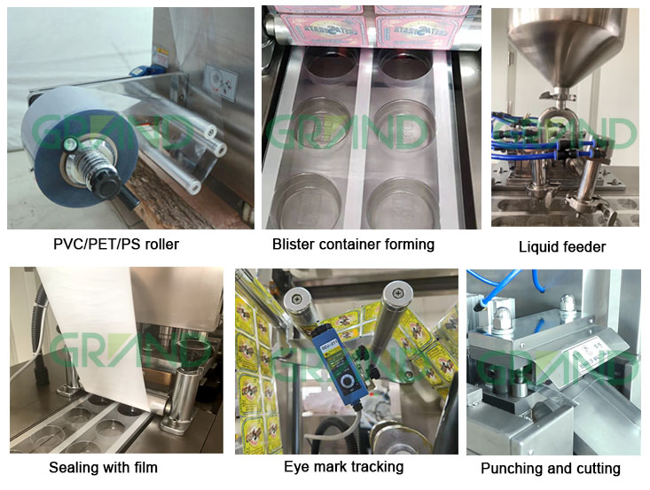 Sampel mesin pengepakan blister madu