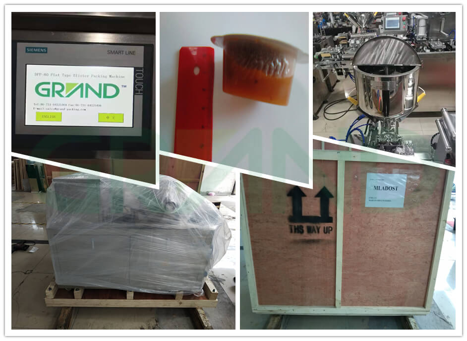 Mesin pengepakan blister untuk selai